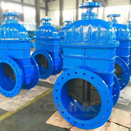 Khẩu van cửa cao su lớn hoạt động sắt mềm PN10 - 25